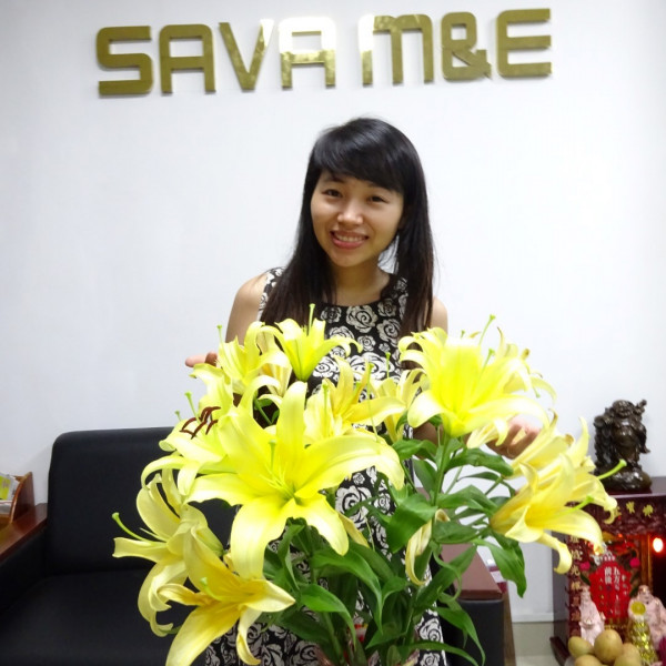 Sinh nhật SAVA M&E tròn 6 tuổi (2015)